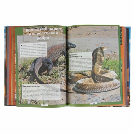 Large children's 3D encyclopedia about everything in the world-3