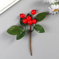 Decor for the creativity 