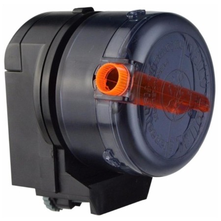 Fish feeder automatic