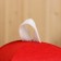 Bann cap "Steam, I will ask the heat!", Ecofeter