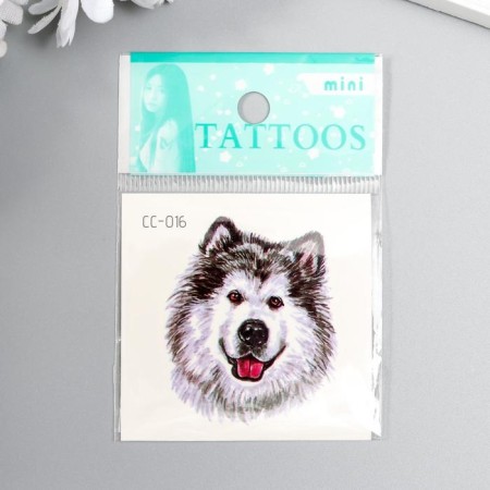 Tattoo on the body Color "Northern Dog" 6x6 cm-2