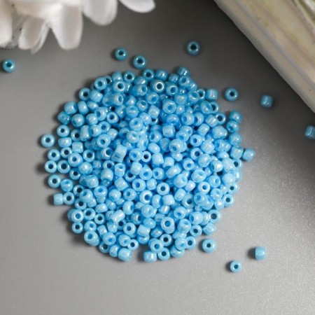 Beads "Astra" 11/0, 20 g (123 St. Golubui/Open.