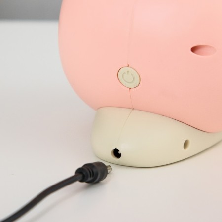 Table lamp "Snail" LED 3W USB AKB Pink 9x13x29 cm Risalux-8