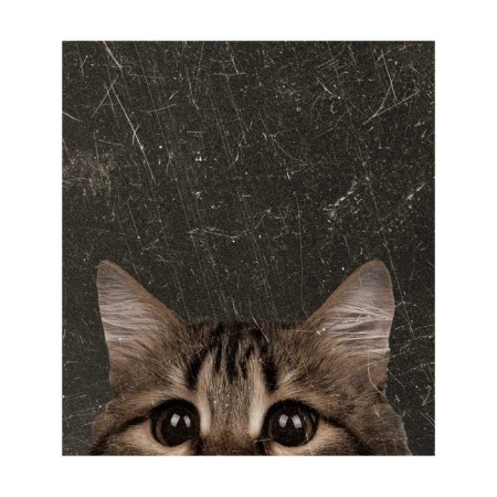 Set of napkins for setting the table "Curious cat", rectangular, size 32x46 cm, 4 pcs-2