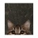 Set of napkins for setting the table "Curious cat", rectangular, size 32x46 cm, 4 pcs