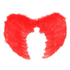 Angel wings, 55 × 40, red color