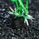 Artificial aquarium plant, 10 cm, green