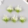 Artificial plant for creativity "Vyzhel" set of 5 pcs 9x6x6 cm