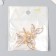 Decor for creativity Metal "Dragonfly" gold, rhinestones set 2 pcs 4.3x3.8 cm