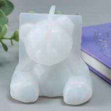 MOLD SILICON 3D 