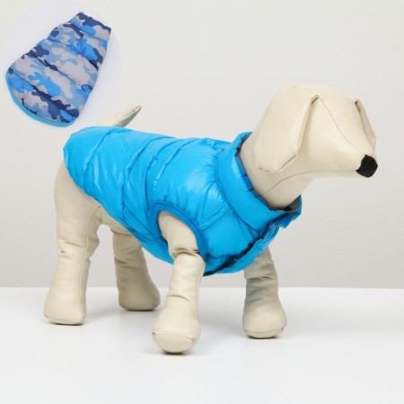 Dog jacket two -sided with print, size 10 (DS 25 cm, OG 34 cm, Osh 24 cm), Blue