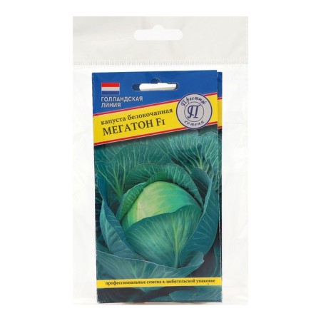 White cabbage seeds of white megaton, set 5 pcs-2