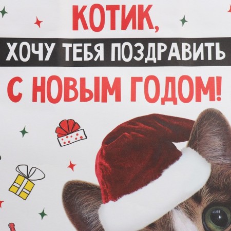 Package Gift Craft "Kotik", 22 x 22 x 11 cm, New Year-4