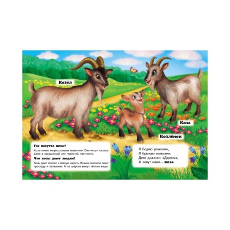 Mini Encyclopedia “Who is it? On the farm"-2