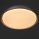 Chase with DNO "Arco" LED 80W 3000-6000K white-silver 50x50x8 cm