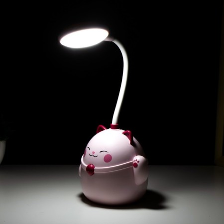 Maneck table lamp LED 3W AKB USB Pink 11.5x10x30 cm Risalux-2