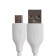 EXPLOYD EX-Z-1433, 2 USB, 2.4 A, MicroUSB cable, white