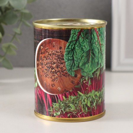 Growing gift grass "Raising beets at home"-3