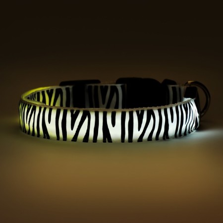 Collar with backlighting zebra 3 glow mode size XL, Osh 60-70 x 2.5 cm white-9