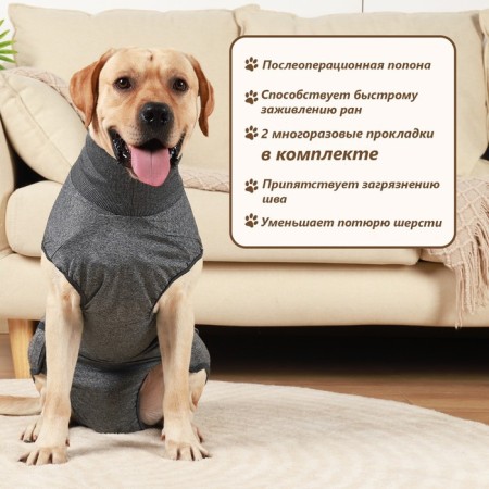 Popon postoperative, polyester+spandex, m (OG 58-66, from 41-48 cm, weight 26-36 kg)