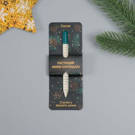 Growing gift pencils Mini "Pine"