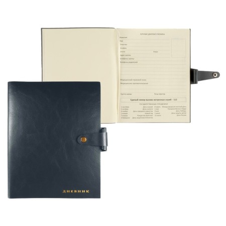 Universal diary for grades 1-11 Favorite, integrated artificial leather cover on the button, embossing foil, liesse, 48 sheets