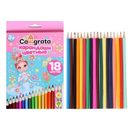 Pencils 18 flowers "princess", wooden building, triangular-6