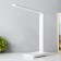 Board lamp 8W 450lm 3000-6000K K-1,2M stand for phone white