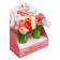 Gel-prick "Pionovid rose", mix