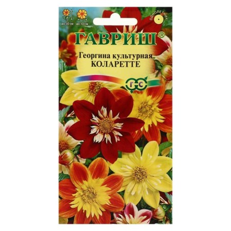 Georgin flowers "Kolarette", 0.2 g