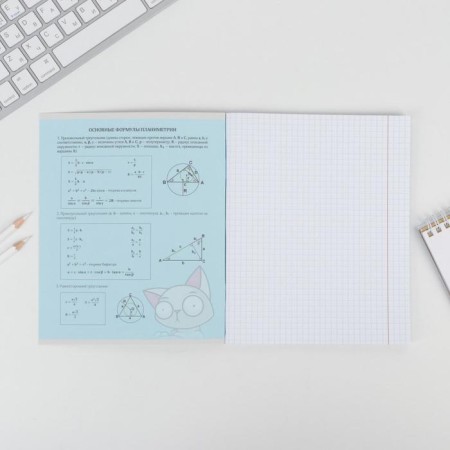 A notebook 48 sheets, A5, characters, with reference materials “September 1: Geometry”, cover coated cardboard 230 gr., Inner block in a cage 80 gr., Whiteness 96%-2
