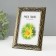 Photo frame plastic 10x15 cm "Roots" black with gold 19x14 cm