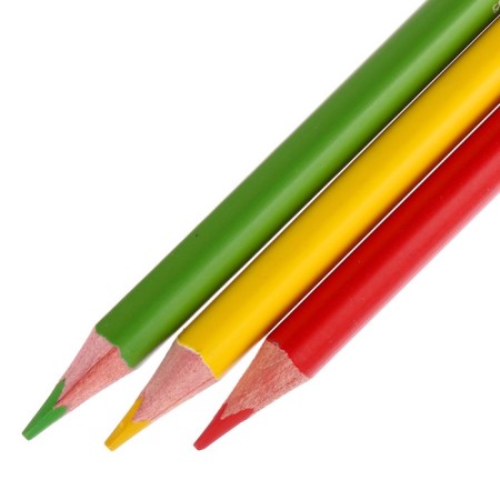 Pencils of 12 Easycolor flowers in a metal box with a spoke-4