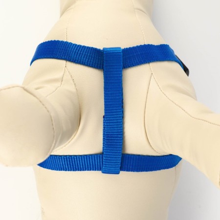 Set "Basis", leash 120 x 1.5 cm, OG 32-46 cm, blue-2