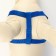 Set "Basis", leash 120 x 1.5 cm, OG 32-46 cm, blue