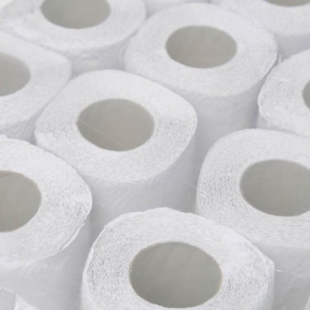 Toilet paper "Vyatka", 2 layers, 12 rolls-1