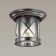 Street ceiling lamp SATION, 1x60W, E27, IP44, black color