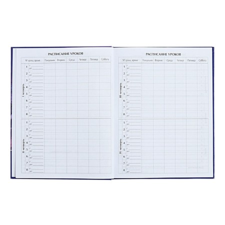 Universal diary for grades 1-11 Iceberg in the Ocean, hard cover, glossy lamination, 40 sheets-5