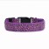 Collar with backlight leopard 3 glow modes, size L, Osh 48-60 x 2.5 cm violet