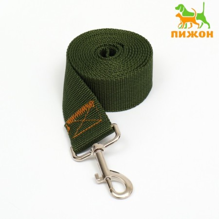 Leash 2 m x 4 cm, green