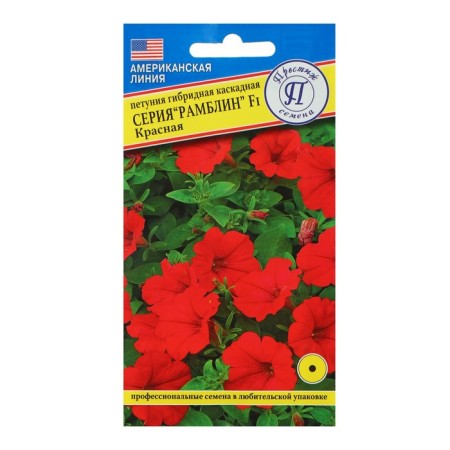 Flowers of petunia hybrid, "Rabbin red" F1, 5 DR