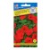 Flowers of petunia hybrid, "Rabbin red" F1, 5 DR