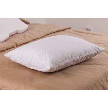 Organic pillow, size 50x70 cm-1