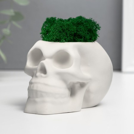 Concrete Kashpo "Skull" with moss 7x11 cm white (moss green stabilized)-2