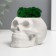 Concrete Kashpo "Skull" with moss 7x11 cm white (moss green stabilized)