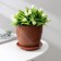 Pot for flowers with the Podon Venice, 2 L, D = 16 cm, Terracotta Color