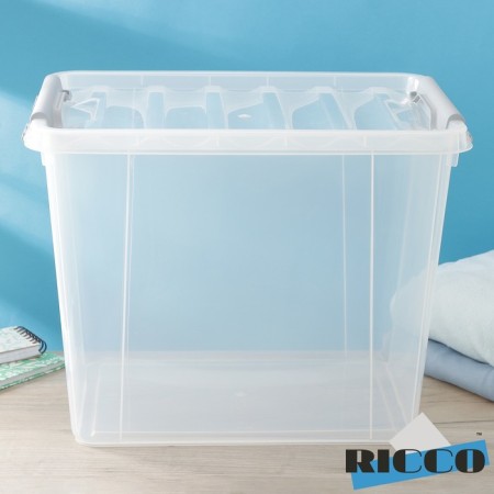 Storage container with a lid Ricco, 25 l, 41 × 29.5 × 31.2 cm, transparent