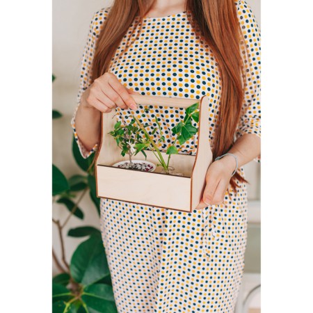 Kashpo wooden 20 × 12.5 × 20 cm stella mono, with a handle, naturally give beautifully-3