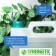 The detergent "Synergetic", for windows and mirrors, 5 liters