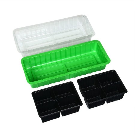Mini-Pirate for seedlings, 40 × 16 × 13 cm, 2 inserts, 8 cells, green, Greengo-2